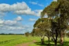 433 South Road, Mortlake, Vic 3272-Image