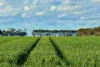 433 South Road, Mortlake, Vic 3272-Image