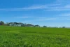 433 South Road, Mortlake, Vic 3272-Image