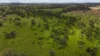4355 Newell Highway, Wirrinya, NSW 2871-Image