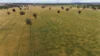 4355 Newell Highway, Wirrinya, NSW 2871-Image
