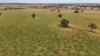 4355 Newell Highway, Wirrinya, NSW 2871-Image