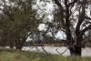 4355 Newell Highway, Wirrinya, NSW 2871-Image