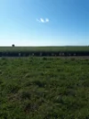 4355 Newell Highway, Wirrinya, NSW 2871-Image
