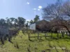 440 Aston Road, Inverell, NSW 2360-Image