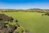 441 Bulloc Hill Road, Mangoplah, NSW 2652-Image