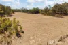 443 Black Springs Road, Mudgee, NSW 2850-Image