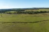 4436 Warrumbungles Way, Binnaway, NSW 2395-Image
