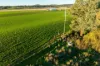 4436 Warrumbungles Way, Binnaway, NSW 2395-Image