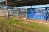 4436 Warrumbungles Way, Binnaway, NSW 2395-Image