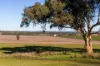 4436 Warrumbungles Way, Binnaway, NSW 2395-Image