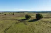4436 Warrumbungles Way, Binnaway, NSW 2395-Image