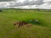 447 Oura Road, Wagga Wagga, NSW 2650-Image