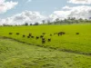 447 Oura Road, Wagga Wagga, NSW 2650-Image