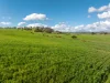 447 Oura Road, Wagga Wagga, NSW 2650-Image