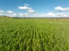 447 Oura Road, Wagga Wagga, NSW 2650-Image