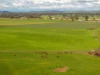 447 Oura Road, Wagga Wagga, NSW 2650-Image