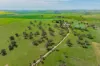 448 Shepherds Siding Road, Wagga Wagga, NSW 2650-Image