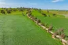 448 Shepherds Siding Road, Wagga Wagga, NSW 2650-Image