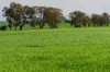 448 Shepherds Siding Road, Wagga Wagga, NSW 2650-Image