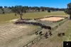 450 Warrah Ridge Road, Quirindi, NSW 2343-Image