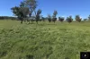 450 Warrah Ridge Road, Quirindi, NSW 2343-Image
