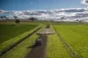 4500 Purlewaugh Road, Purlewaugh, NSW 2357