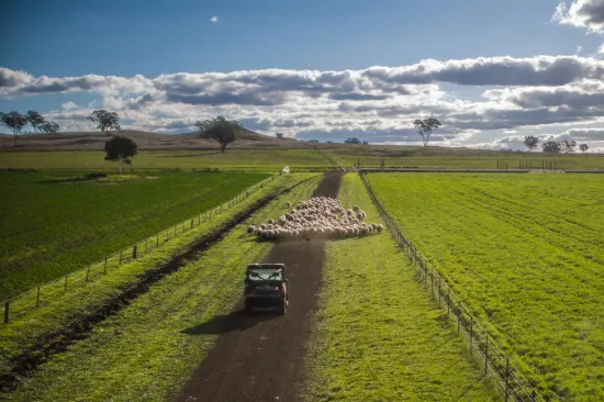 4500 Purlewaugh Road, Purlewaugh, NSW 2357