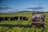 4500 Purlewaugh Road, Purlewaugh, NSW 2357-Image
