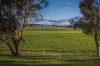 4500 Purlewaugh Road, Purlewaugh, NSW 2357-Image