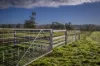 4500 Purlewaugh Road, Purlewaugh, NSW 2357-Image