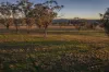 4500 Purlewaugh Road, Purlewaugh, NSW 2357-Image