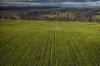 4500 Purlewaugh Road, Purlewaugh, NSW 2357-Image