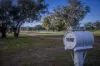 4500 Purlewaugh Road, Purlewaugh, NSW 2357-Image