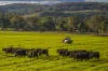 4500 Purlewaugh Road, Purlewaugh, NSW 2357-Image