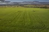 4500 Purlewaugh Road, Purlewaugh, NSW 2357-Image