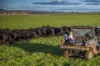 4500 Purlewaugh Road, Purlewaugh, NSW 2357-Image