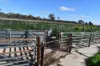 462 Hockey Road, Tullamore, NSW 2874-Image