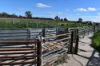 462 Hockey Road, Tullamore, NSW 2874-Image