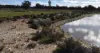 462 Hockey Road, Tullamore, NSW 2874-Image