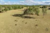 465 Sexton Road, Sexton, Qld 4570-Image