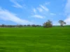47 Price Road, Ballyrogan, Vic 3375-Image