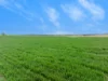 47 Price Road, Ballyrogan, Vic 3375-Image