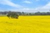 47 Price Road, Ballyrogan, Vic 3375-Image