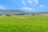 47 Price Road, Ballyrogan, Vic 3375-Image