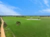47 Price Road, Ballyrogan, Vic 3375-Image