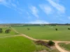 47 Price Road, Ballyrogan, Vic 3375-Image