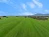 47 Price Road, Ballyrogan, Vic 3375-Image