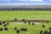 ./470 Rifle Butts Road, Birregurra, Vic 3242