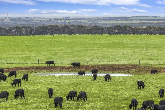 ./470 Rifle Butts Road, Birregurra, Vic 3242